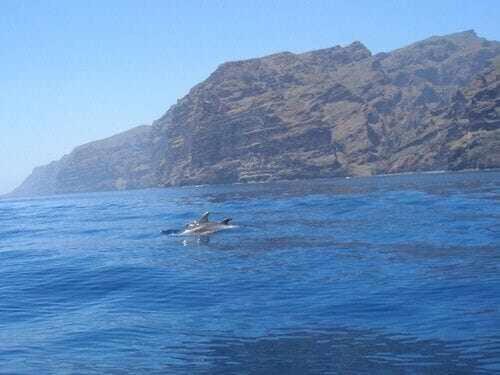 El Paraiso En Los Gigantes Santiago del Teide Buitenkant foto