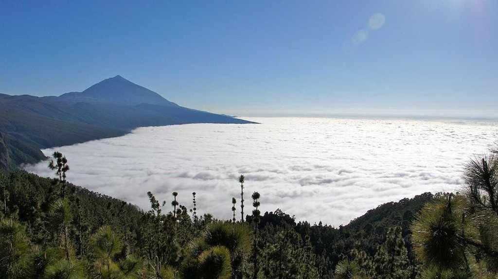 El Paraiso En Los Gigantes Santiago del Teide Buitenkant foto