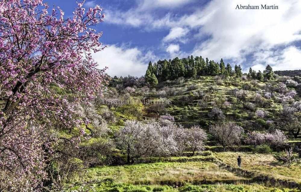 El Paraiso En Los Gigantes Santiago del Teide Buitenkant foto