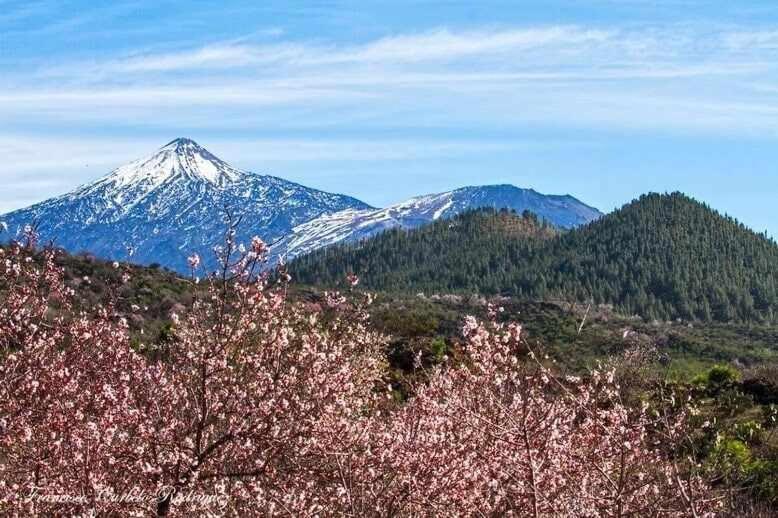 El Paraiso En Los Gigantes Santiago del Teide Buitenkant foto